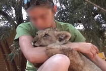 Sự thật bàng hoàng sau ảnh du khách âu yếm sư tử Nam Phi