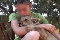 Sự thật bàng hoàng sau ảnh du khách âu yếm sư tử Nam Phi