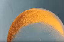 Đãi cát biển, cặp đôi tìm được vàng đầy may mắn