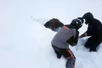 Giải cứu nai mắc kẹt trong lớp tuyết dày 2 m 