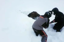 Giải cứu nai mắc kẹt trong lớp tuyết dày 2 m 