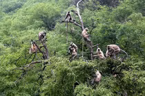 Vẻ đẹp thế giới tự nhiên qua những bức ảnh cực ấn tượng