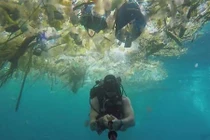 Kinh khủng nơi rác vây quanh và rác "đè" trên đầu