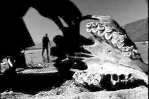 Linh hồn Thành Cát Tư Hãn được “thủy quái” bảo vệ? 