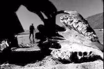 Linh hồn Thành Cát Tư Hãn được “thủy quái” bảo vệ? 