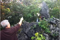 Bí ẩn ngôi chùa Trinh Tiết và mỏm đá “tự lớn”