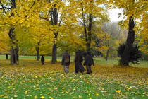 Con đi xuất gia mẹ nhé... 