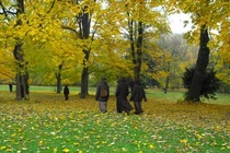 Con đi xuất gia mẹ nhé... 