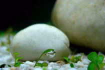Những điều nên học trong cuộc đời