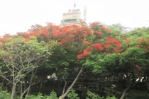 Biệt điện của ông vua cuối cùng triều Nguyễn ở Nha Trang