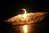 Vô minh trong cõi Ta-bà