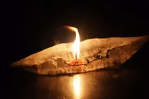 Vô minh trong cõi Ta-bà