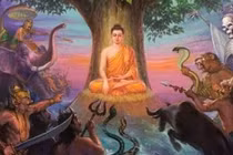 Lời Phật dạy cách đối trị với bạo lực, khủng bố