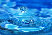 Giải mã những giấc mơ thấy nước 