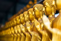 Người tu không sợ “đói” 