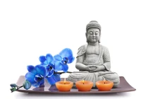 Ðức Phật là bậc thầy các nhà khoa học 