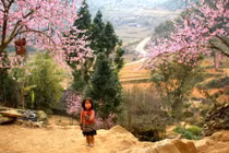 Báo Mỹ ca ngợi 5 điểm đến nổi tiếng của VN