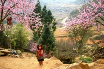 Báo Mỹ ca ngợi 5 điểm đến nổi tiếng của VN