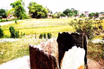 Chuyện liêu trai về giếng cổ Vĩnh Phúc 