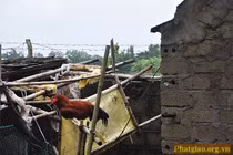 Về Nam Định, thăm chùa Thư Điền ngày mưa bão 