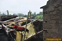 Về Nam Định, thăm chùa Thư Điền ngày mưa bão 