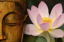 “Như Lai chỉ là người chỉ đường“