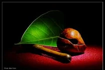 Tu tập từ những thị phi cuộc đời