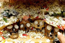 Dựng tóc gáy màn làm đẹp cho đầu lâu người 