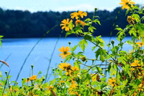 Lặng ngắm 7 cao nguyên đẹp nhất trời Nam 