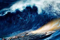 Tam giác Bermuda bị ám bởi linh hồn nô lệ? 