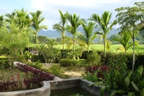 Sức hút của sự bình an