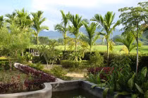 Sức hút của sự bình an