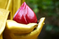 Đi chùa - Bước đầu của hành trình tâm linh