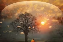 Phật dạy: Kiêu căng mất phước