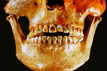 Sự thật bất ngờ về người Maya