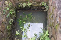 Kỳ lạ giếng cổ chưa bao giờ cạn 