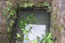 Kỳ lạ giếng cổ chưa bao giờ cạn 