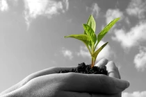 Món nợ lớn nhất của đời người 