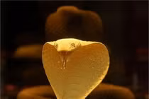 Gieo quẻ thứ sáu (9/8) 