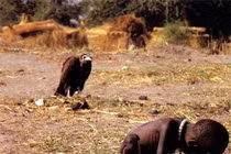 Sự thực “chết lặng” về bức ảnh đoạt giải Pulitzer