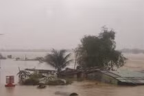 Bão dạy ta điều gì trong cuộc sống?