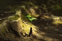 Hạn sử dụng của đời người