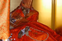 Xứ sở của nhà sư tự ướp xác 