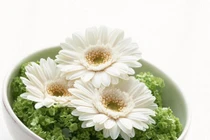 Cách nhìn xuyên thấu những nghịch lý cuộc đời