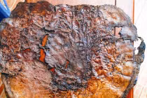 Phát hiện mới về Phật giáo ở đồng bằng sông Cửu Long 