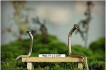 Có ai ở đời mãi đâu mà.... giận với hờn 