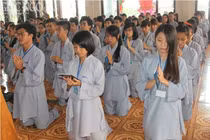 Gieo hạt từ tâm “Xin đừng bỏ con“