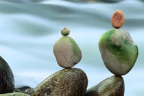 Mọi chuyện từ chữ “tham”