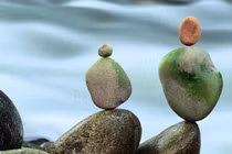 Mọi chuyện từ chữ “tham”