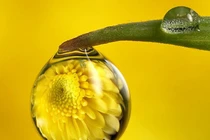 Trong nhà Phật, “lưới trời” chính là “quả báo“